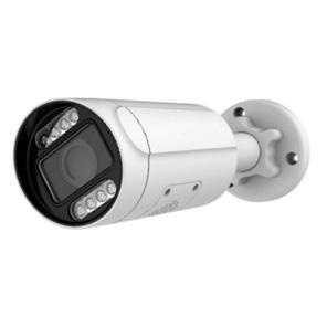 IP камера видеонаблюдения Tels IP-BM550AFSAP-IR